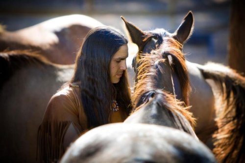 Horses Came to American West by Early 1600s, Study Finds
