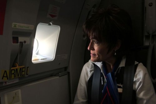 American Airlines Flight Attendants -  Medium 