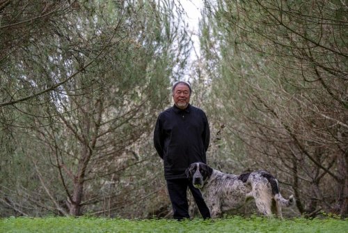 Dissident Artist Weiwei Says China Unrest Won't Alter Regime