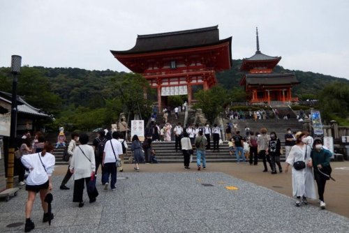Kyoto's Love-Hate Relationship With Tourists Endures as Yen Weakens