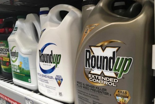 Juries Link Roundup Weed Killer to Cancer Risk