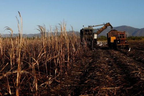 Cuba's Sugar Harvest Worst in Over Century, Another Hit to Ailing Economy