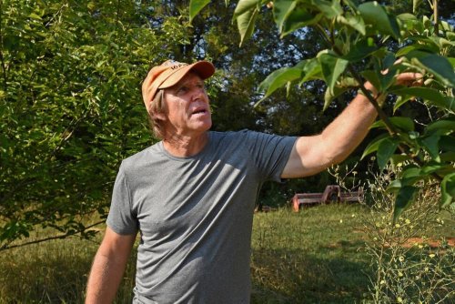 North Carolina Farmer Conducts 'Big Experiment' on 30 Acres | North ...