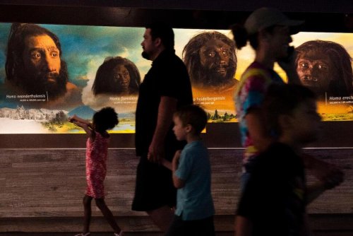 We Carry DNA From Extinct Cousins Like Neanderthals. Science Is Now Revealing Their Genetic Legacy