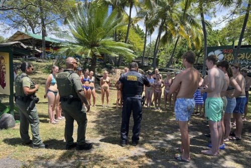 Hawaii Authorities Say 33 Swimmers Were Harassing Dolphins