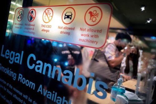 Joint Venture Cannabis Cafes Open New Front In Thai Tourism Revival 
