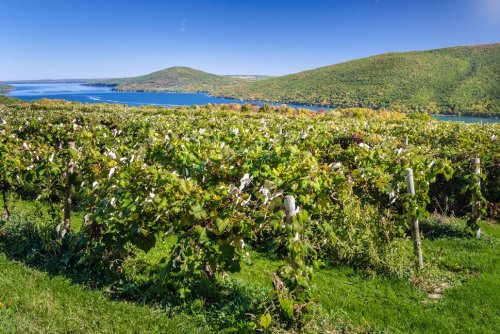 18 Top Finger Lakes Wineries to Visit