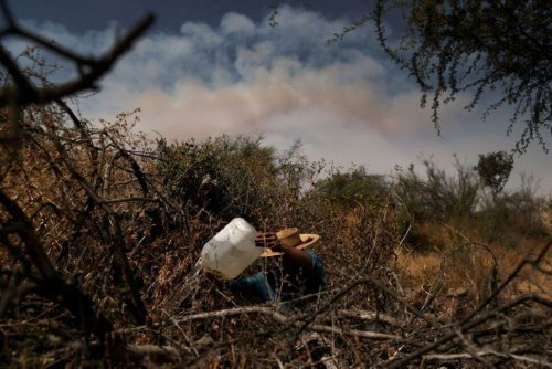 Chile Heat Wave Exacerbates Forest Fires, Causes Public Health Risk