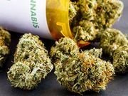Medical Marijuana May Offer Safe Pain Relief for Cancer Patients