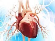 Long-Term Heart Inflammation Strikes 1 in 8 Hospitalized COVID Patients