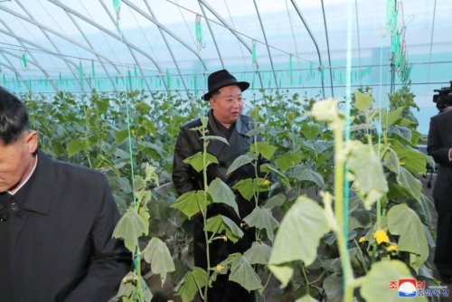 North Korea Ruling Party Meeting to Address 'Urgent' Agricultural Needs