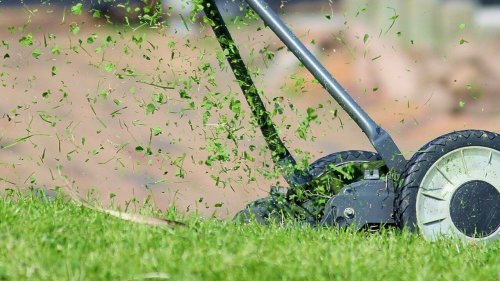 Rasenpflege im Frühjahr: An diese Reihenfolge solltest du dich halten