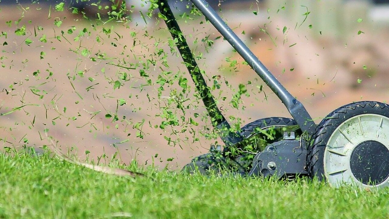 Rasenpflege im Frühjahr: Diese Reihenfolge solltest du beachten