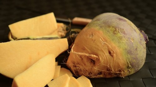 Steckrüben-Rezepte: Das kannst du mit dem regionalen Wintergemüse zubereiten
