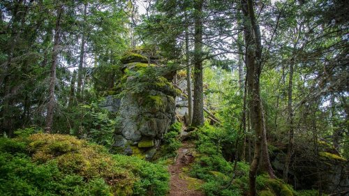 Nationalparks in Deutschland: 16 sehenswerte Ziele
