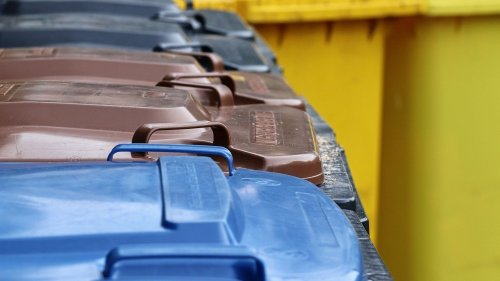 Ab morgen neue Biomüll-Regeln beachten – es drohen Bußgelder