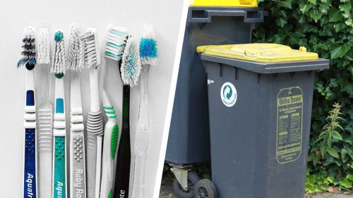 Warum Zahnbürsten nicht in die Gelbe Tonne dürfen