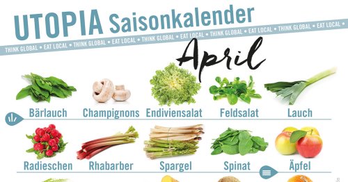 Saisonkalender: Das bringt der April