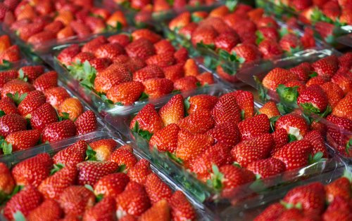No-go Früherdbeeren? Bis wann du mit dem Kauf warten solltest