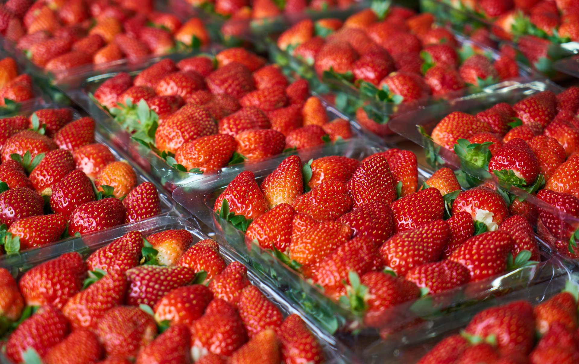 No-go Früherdbeeren? Bis wann du mit dem Kauf warten solltest