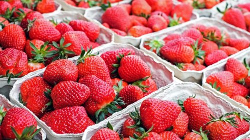 Bei dieser Temperatur halten sich Erdbeeren am besten
