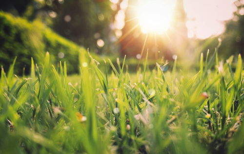 Ausflug geplant? Der 1. Mai bringt Knaller-Wetter, aber auch Gefahren