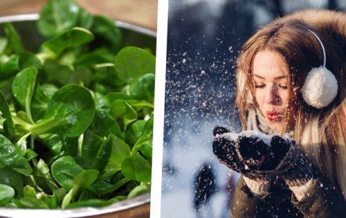 Statt Tomaten im Winter: Welches Wintergemüse und Obst jetzt schmeckt