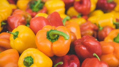 Richtig lagern: Gehört Paprika in den Kühlschrank?