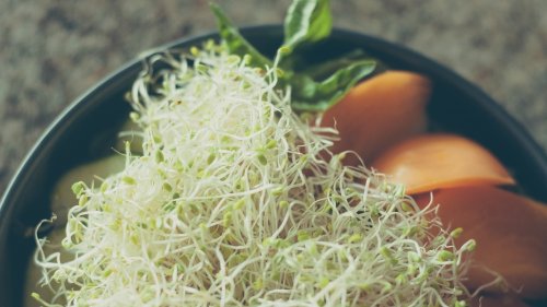 Alfalfa-Sprossen: So gesund sind sie wirklich