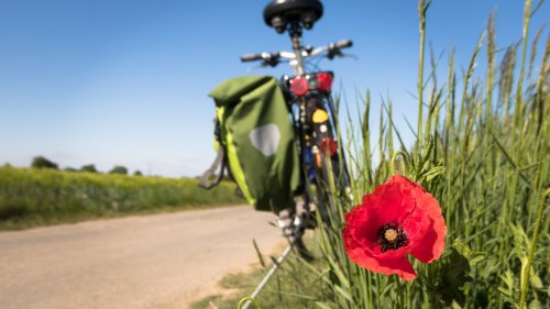 Mit dem Fahrrad durch Europa: Die 5 schönsten Radtouren