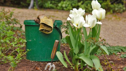 Gärtnern im Frühling: So entsorgst du Grünschnitt, Pflanztöpfe, Dünger und Co. richtig