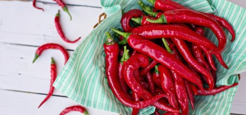 Peperoni pflanzen, pflegen und ernten – im Garten oder auf dem Balkon
