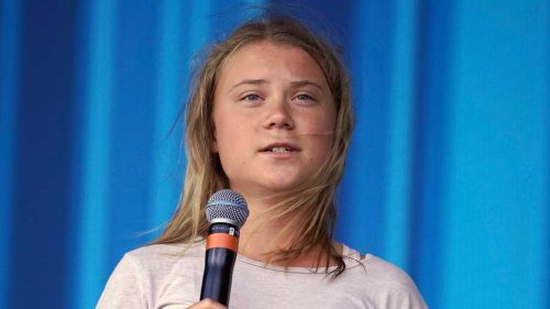 Greta Thunbergs 500-Seiten-Werk macht fassungslos