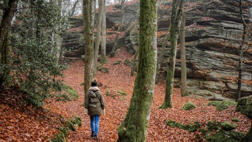 Fernwandern in Deutschland: Die 4 schönsten Routen
