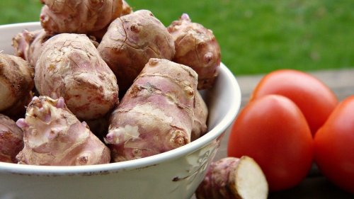 Topinambur roh essen: Wann du es lieber lassen solltest