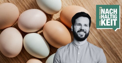 Eier ohne Tierleid? Niko Rittenaus “Leuchtturmprojekt” denkt Hühnerhaltung neu
