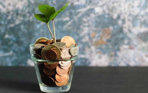 Grüne Geldanlage: Wie du nachhaltig sparst