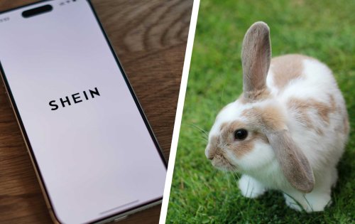 Ist Shein plötzlich nachhaltig? Tierschützer:innen loben Shop, neue Regelung im Check