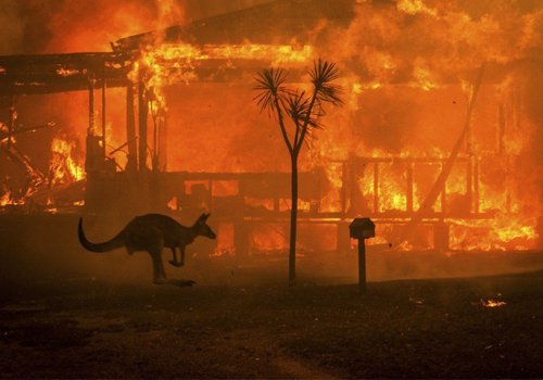 How to support those in need during the Australian bushfires