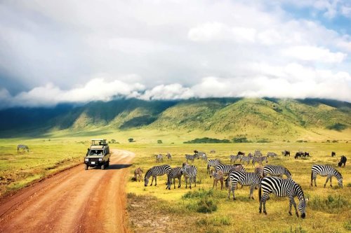 Abercrombie & Kent is offering four new incredible safari adventures