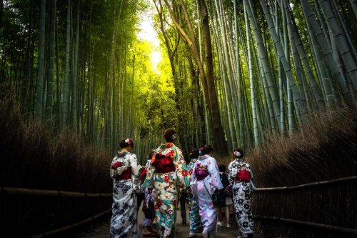 Kyoto districts: Nine of the best for sightseeing, food and culture - Vacations & Travel