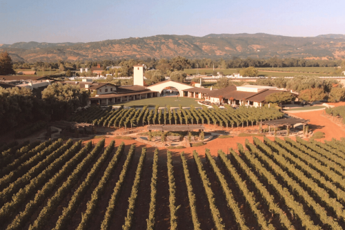 World's best vineyards for 2020 revealed