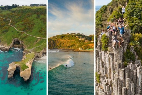 The best things to do in Dunedin, New Zealand