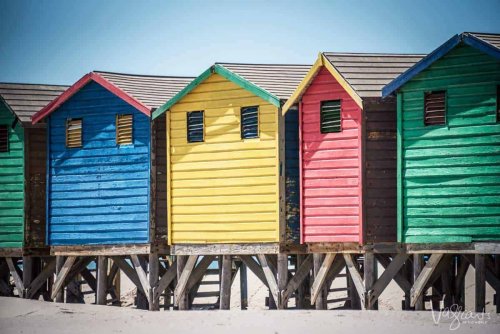 12 Best Things To Do In Cape Town