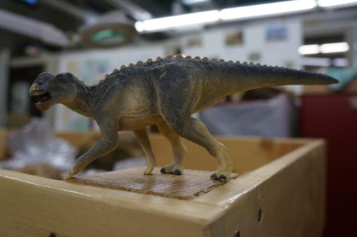 Experts discover Walter the Dinosaur was larger, older than they originally thought he was