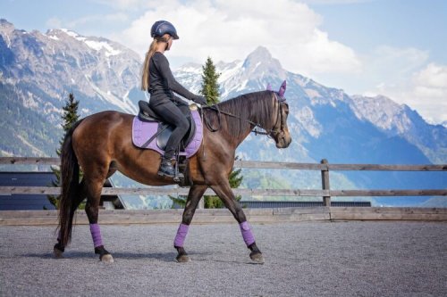 Here’s How Horse Communication Can Fix the Problems You’re Having With Your Horse