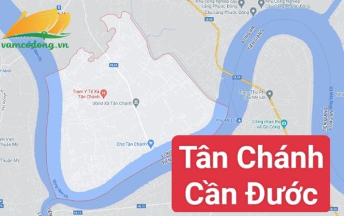Bán đất xã Tân Chánh, huyện Cần Đước - Danh sách chi tiết 2023