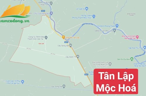 Bán đất xã Tân Lập, huyện Mộc Hóa - Danh sách chi tiết 2023