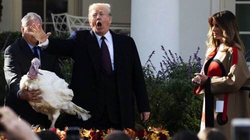 “Everyone Knows What Happened. Let’s Vote.”: Democrats Hope to Close the Impeachment Deal at the Thanksgiving Day Table