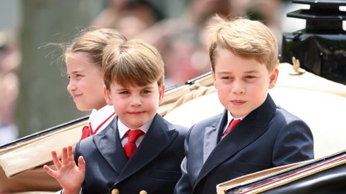 Le prince George et le prince Louis ont une passion (sportive) en commun